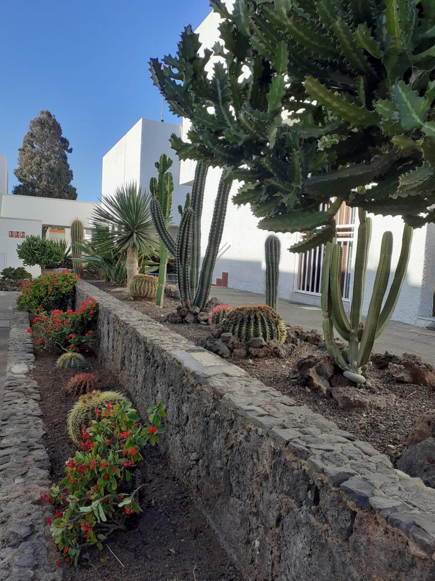 Precioso Apartment Costa Del Silencio