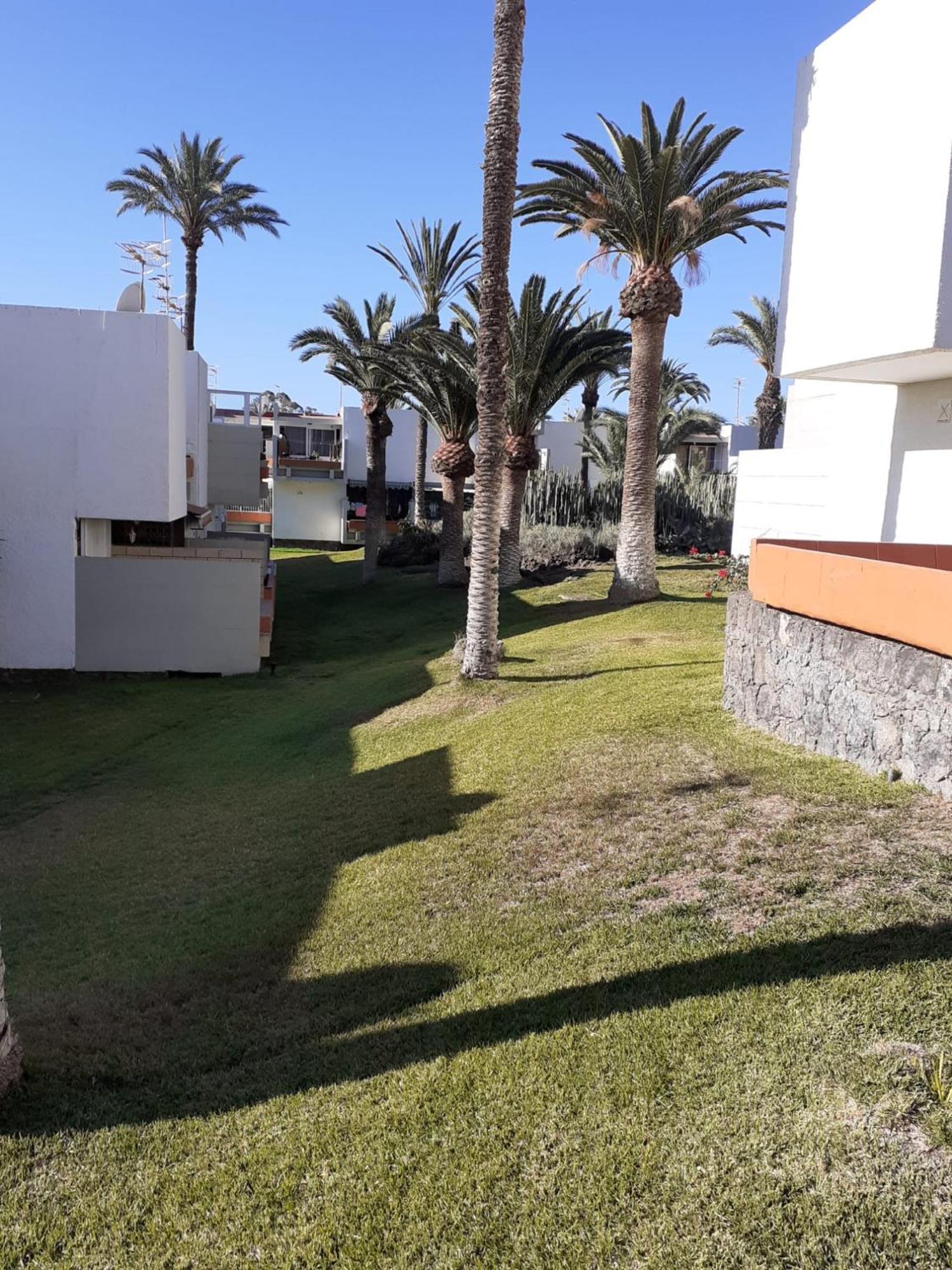 Precioso Apartment Costa Del Silencio